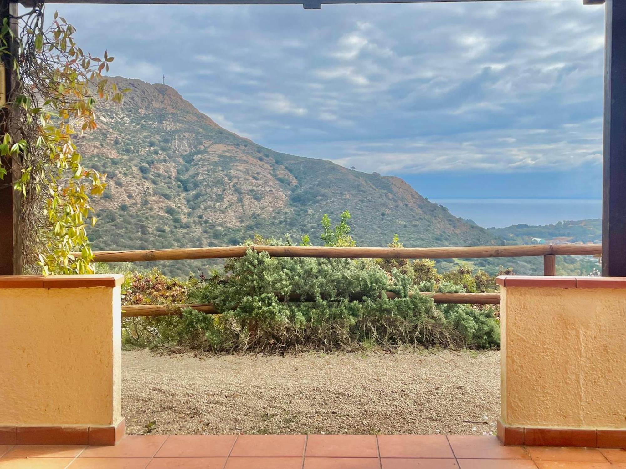 Aria Di Collina - Isola D'Elba Apartamento Porto Azzurro Quarto foto