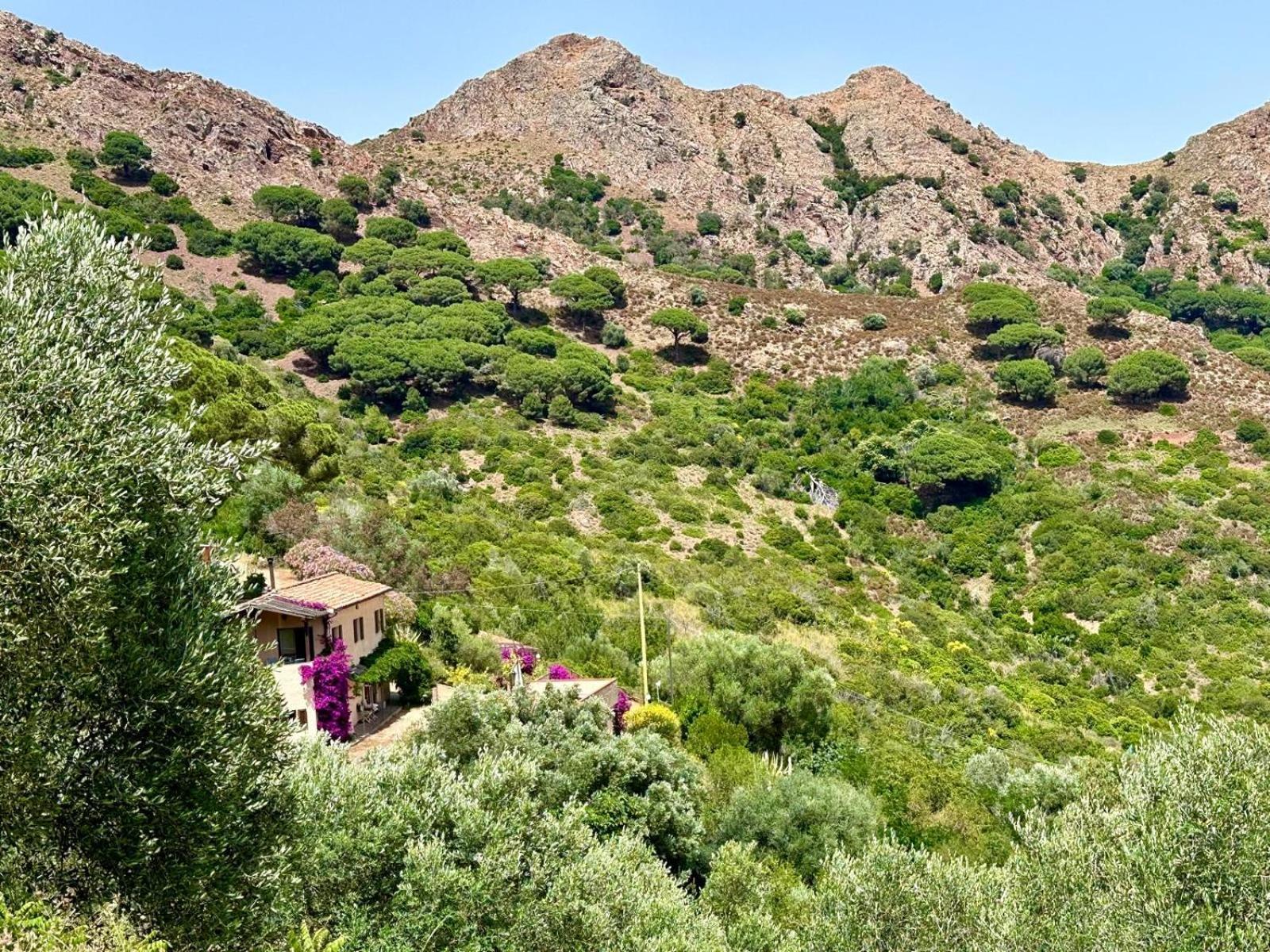 Aria Di Collina - Isola D'Elba Apartamento Porto Azzurro Exterior foto